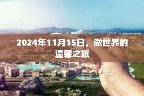 2024年11月15日,微世界的温馨之旅