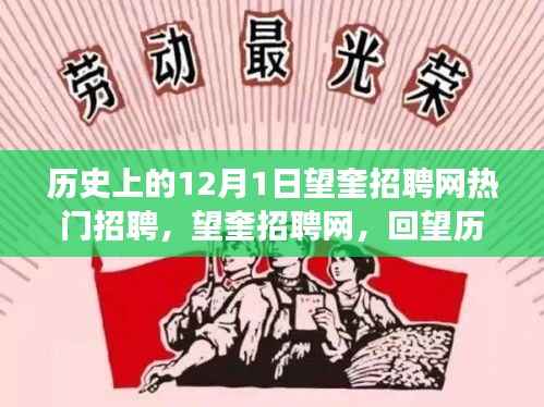 回望历史,望奎招聘网在十二月一日的热门招聘盛事回顾