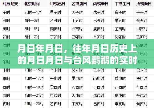 台风鹦鹉直播回顾,历史时刻与实时播报