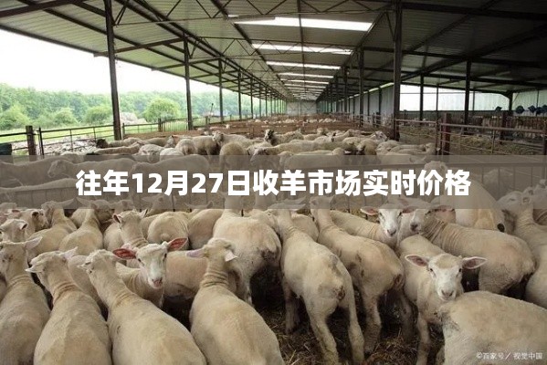 关于往年12月27日的羊市场实时价格信息