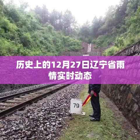 辽宁省雨情实时动态,历史12月27日回顾