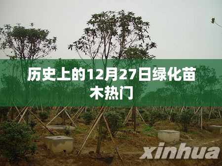 历史上的绿化苗木热门,聚焦12月27日