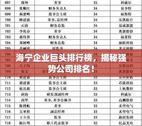 海宁企业巨头排行榜，揭秘强势公司排名！