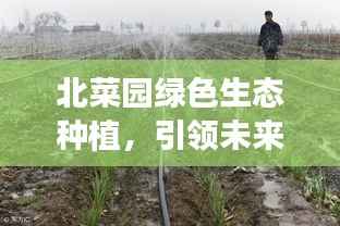 北菜园绿色生态种植,引领未来农业新潮流