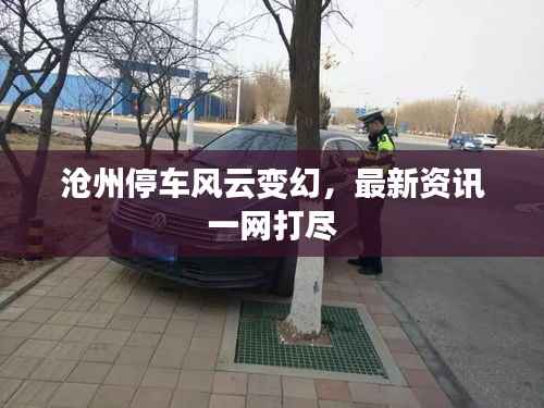 沧州停车风云变幻,最新资讯一网打尽